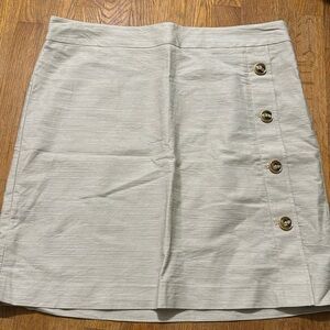 Ann Taylor Factory Skirt